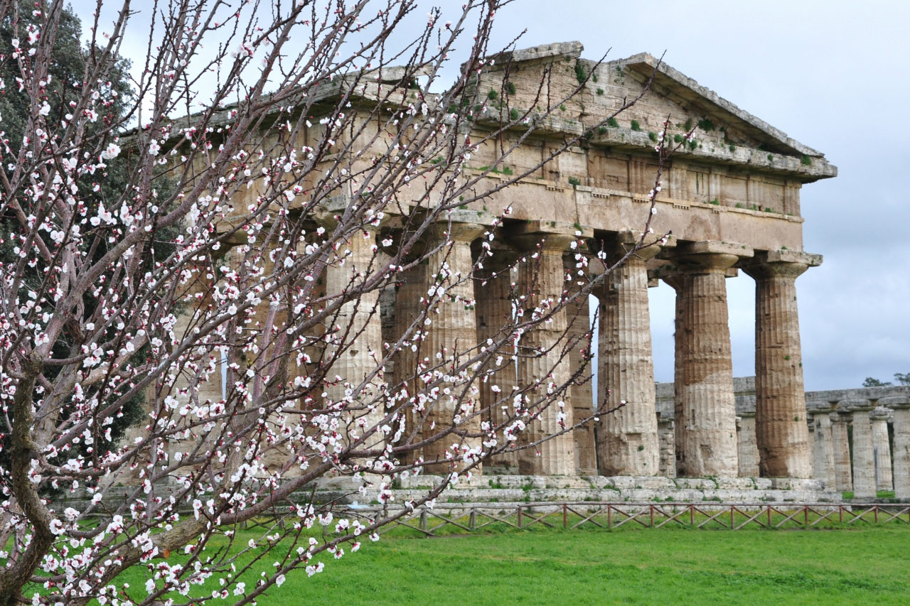 Paestum